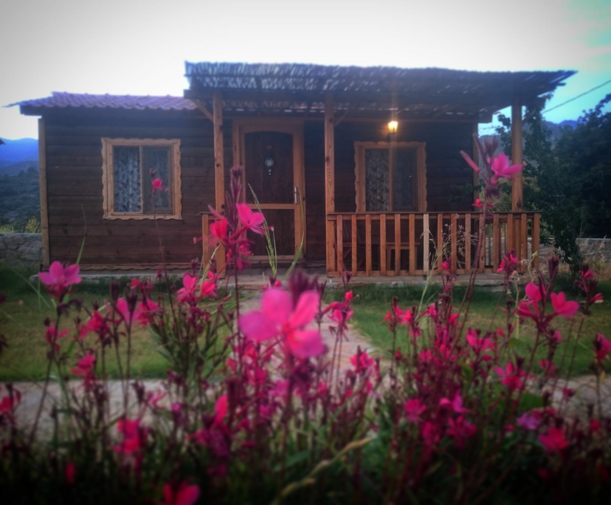 Ipekce Tatil Evleri Mesudiye  Esterno foto