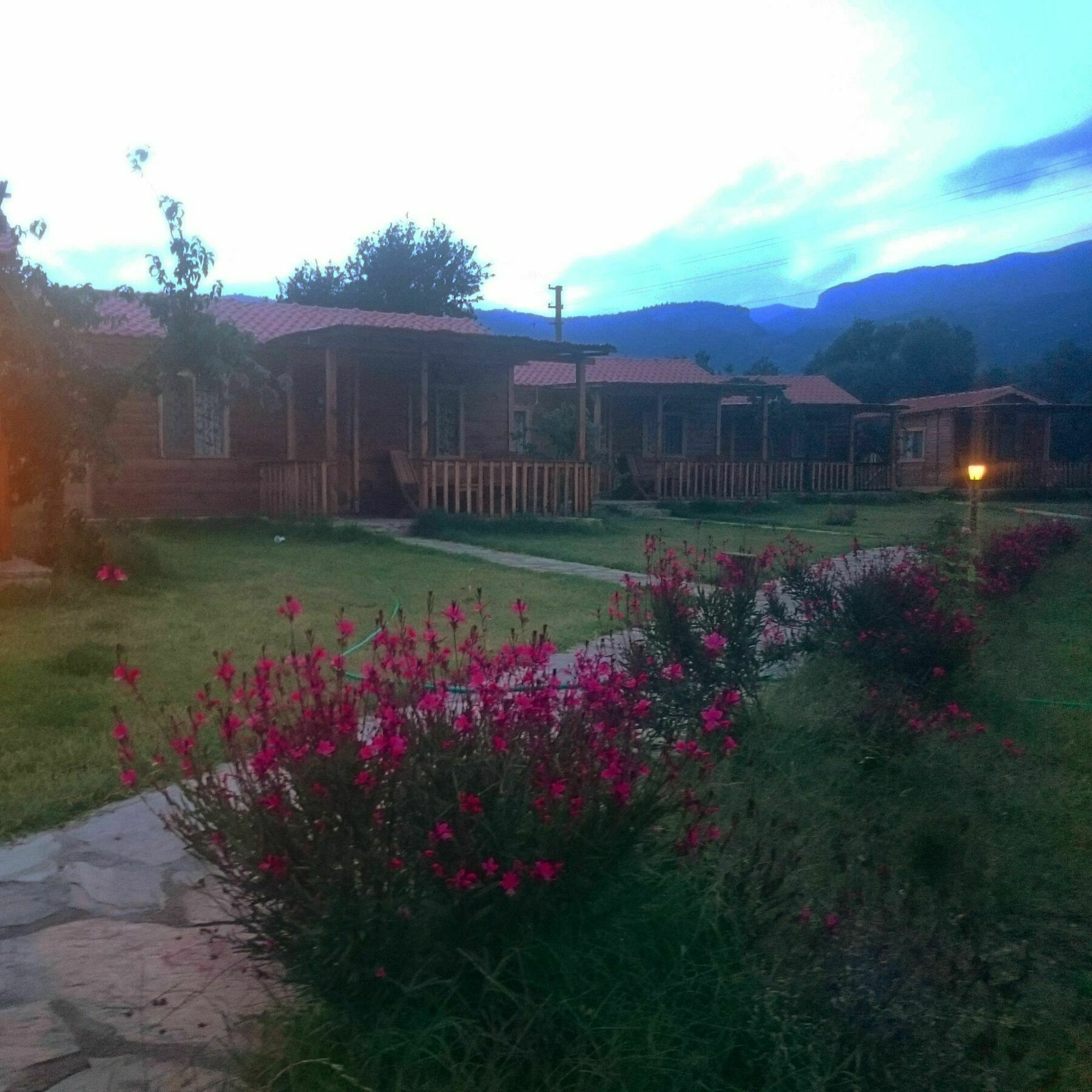 Ipekce Tatil Evleri Mesudiye  Esterno foto